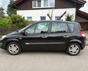 Renault Scenic Gebrauchtwagen