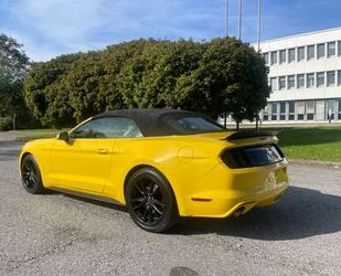 Ford Mustang Gebrauchtwagen