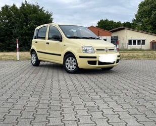 Fiat Panda Gebrauchtwagen