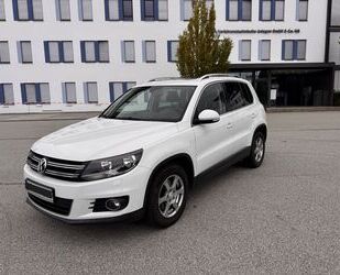 VW Tiguan Gebrauchtwagen