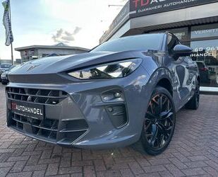 Cupra Terramar Gebrauchtwagen