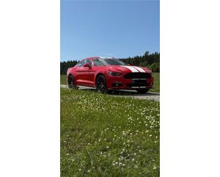 Ford Mustang Gebrauchtwagen