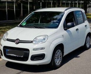 Fiat New Panda Gebrauchtwagen