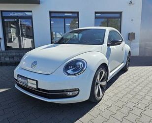 VW Beetle Gebrauchtwagen