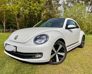 VW Beetle Gebrauchtwagen