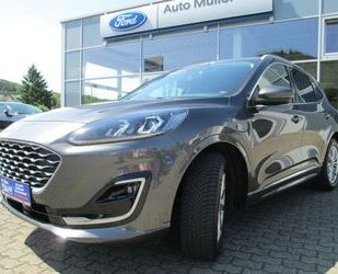 Ford Kuga Gebrauchtwagen