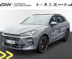 Cupra Terramar Gebrauchtwagen