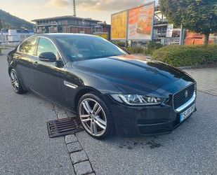 Jaguar XE Gebrauchtwagen