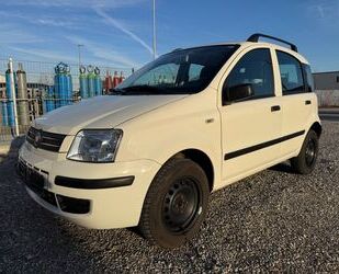 Fiat Panda Gebrauchtwagen