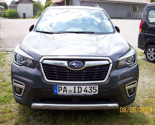 Subaru Forester Gebrauchtwagen