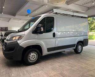 Fiat Ducato Gebrauchtwagen