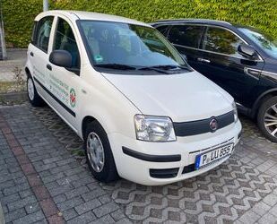 Fiat Panda Gebrauchtwagen