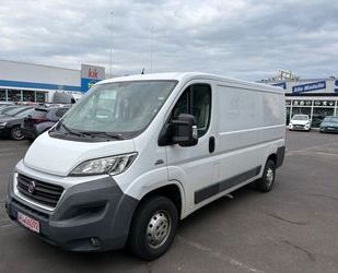 Fiat Ducato Gebrauchtwagen