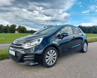 Kia Rio Gebrauchtwagen