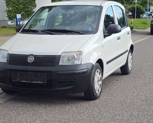 Fiat Panda Gebrauchtwagen