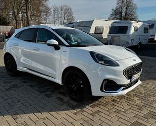 Ford Puma Gebrauchtwagen