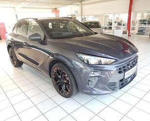 Cupra Terramar Gebrauchtwagen