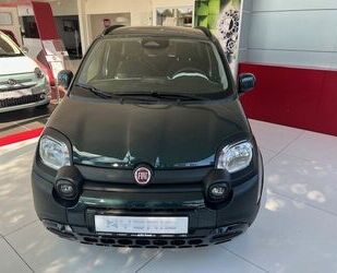 Fiat Panda Gebrauchtwagen