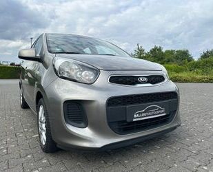 Kia Picanto Gebrauchtwagen