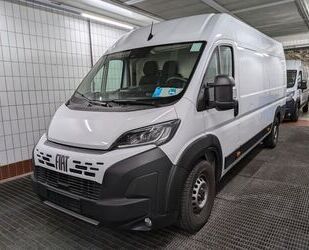 Fiat Ducato Gebrauchtwagen