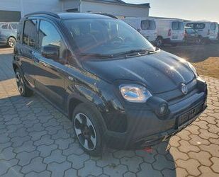 Fiat Panda Gebrauchtwagen