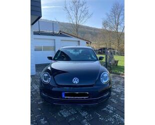 VW Beetle Gebrauchtwagen