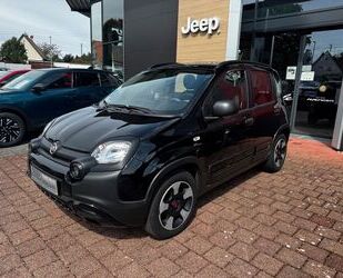 Fiat Panda Gebrauchtwagen