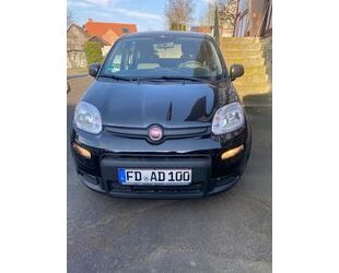Fiat Panda Gebrauchtwagen