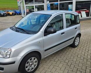 Fiat Panda Gebrauchtwagen