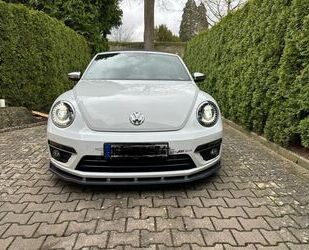 VW Beetle Gebrauchtwagen