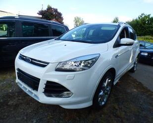 Ford Kuga Gebrauchtwagen