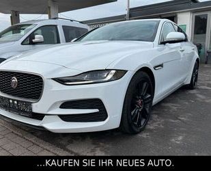 Jaguar XE Gebrauchtwagen