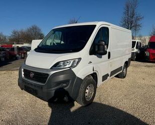 Fiat Ducato Gebrauchtwagen