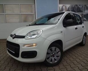 Fiat Panda Gebrauchtwagen