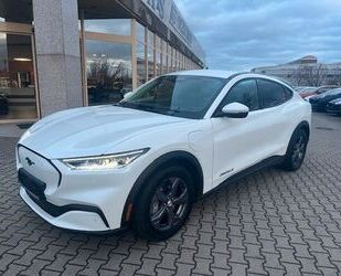 Ford Mustang Mach-E Gebrauchtwagen