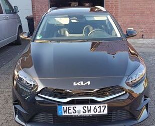 Kia ceed / Ceed Gebrauchtwagen