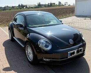VW Beetle Gebrauchtwagen