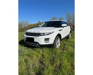 Land Rover Range Rover Evoque Gebrauchtwagen