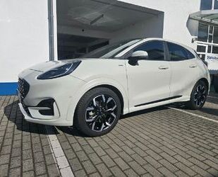 Ford Puma Gebrauchtwagen