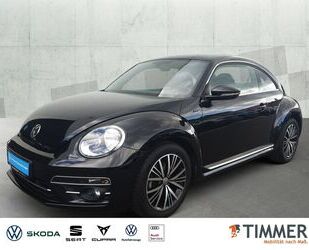 VW Beetle Gebrauchtwagen