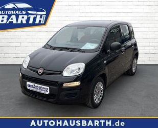 Fiat Panda Gebrauchtwagen