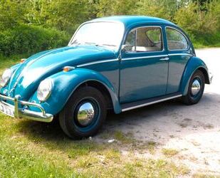 VW Käfer Gebrauchtwagen
