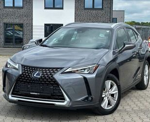 Lexus UX Gebrauchtwagen