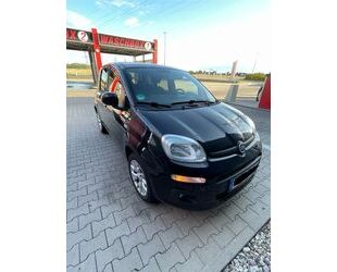 Fiat Grande Panda Gebrauchtwagen