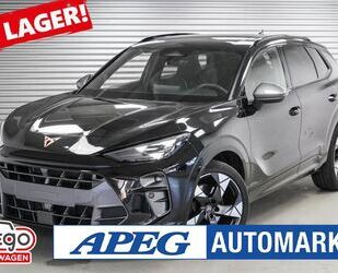 Cupra Terramar Gebrauchtwagen