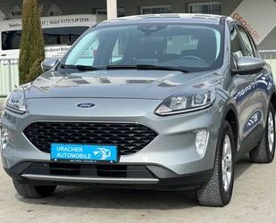 Ford Kuga Gebrauchtwagen