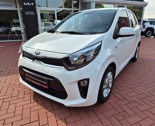 Kia Picanto Gebrauchtwagen