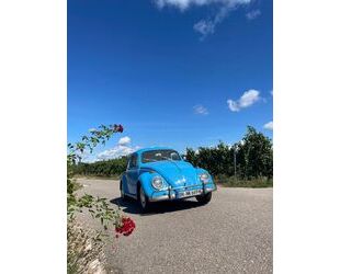 VW Käfer Gebrauchtwagen
