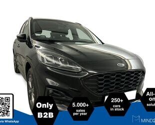 Ford Kuga Gebrauchtwagen