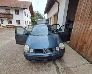 VW Polo Gebrauchtwagen